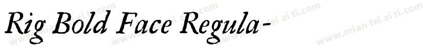 Rig Bold Face Regula字体转换